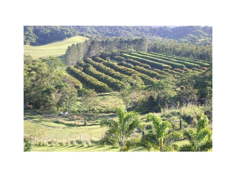 Julatten QLD 4871