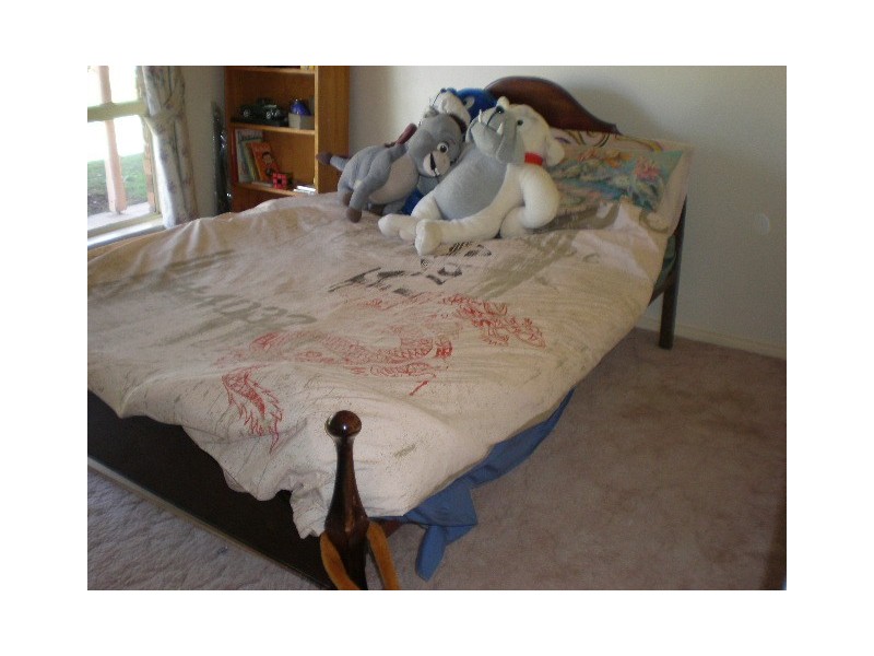 1 Eagle Street, Barham NSW 2732