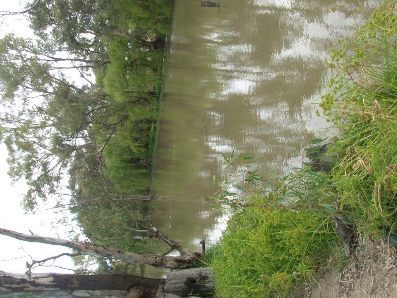 11 Vinecombe Lane, Barham NSW 2732