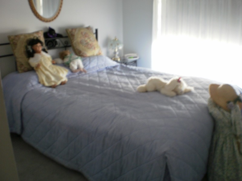 19 Burnett  Street, Koondrook VIC 3580