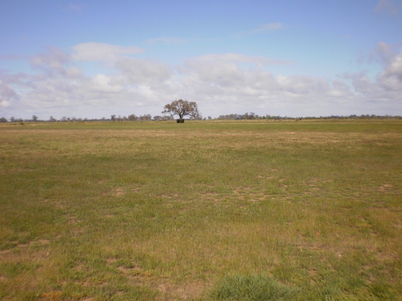 1 Buckland  Road, Koondrook VIC 3580