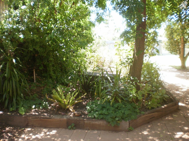 37 Yarrien  Street, Barham NSW 2732