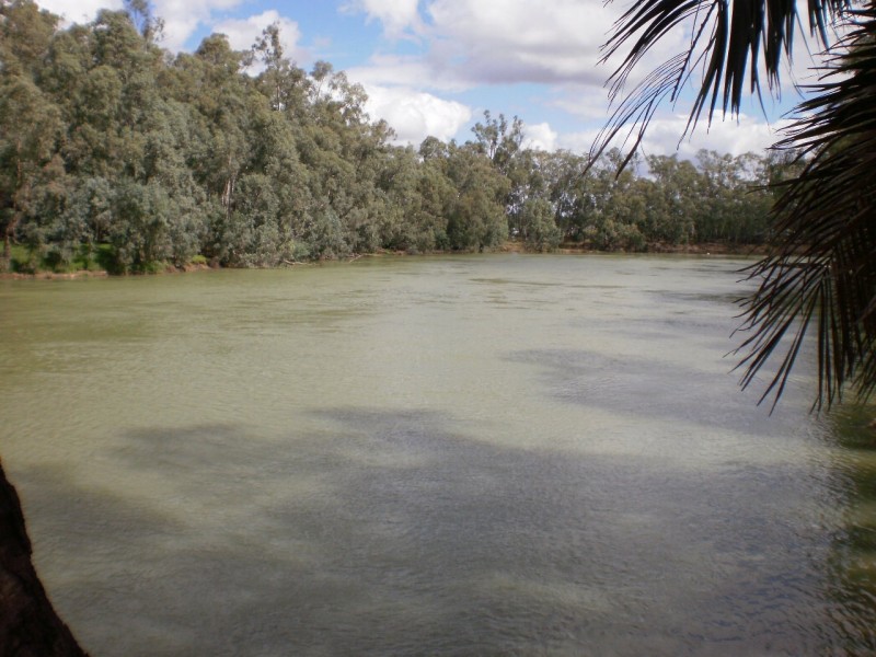 56/56 Noorong  Street, Barham NSW 2732