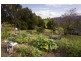 67 Anzac Drive, Kyogle NSW 2474
