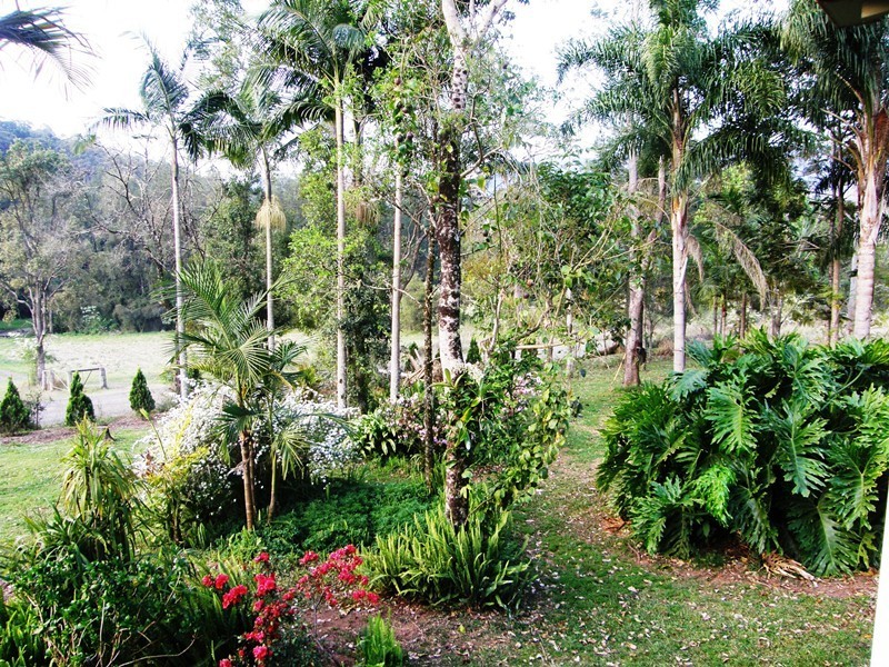 776 Green Pigeon Road, Kyogle NSW 2474