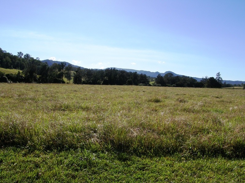 135 Killiloe Road, Green Pigeon, Kyogle NSW 2474