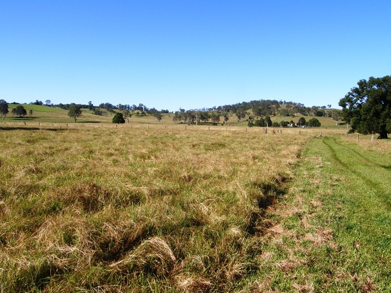 135 Killiloe Road, Green Pigeon, Kyogle NSW 2474