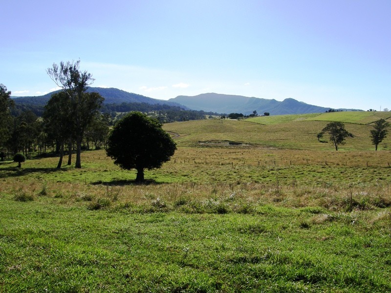 135 Killiloe Road, Green Pigeon, Kyogle NSW 2474