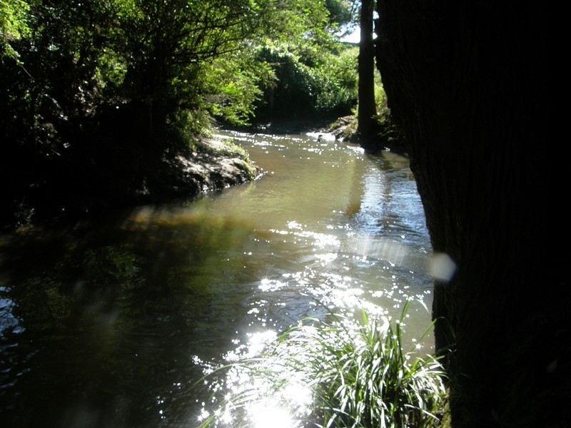 135 Killiloe Road, Green Pigeon, Kyogle NSW 2474