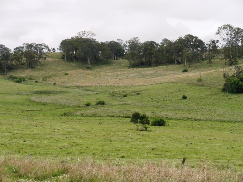 145 Northfields Road, Stratheden, Kyogle NSW 2474