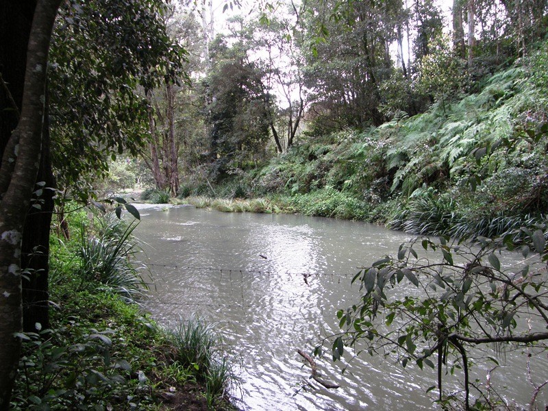 582 Horseshoe Creek Road, Kyogle NSW 2474