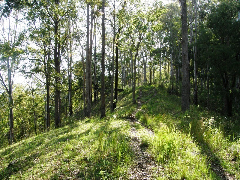 582 Horseshoe Creek Road, Kyogle NSW 2474