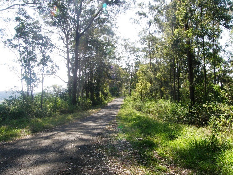 582 Horseshoe Creek Road, Kyogle NSW 2474