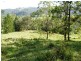 582 Horseshoe Creek Road, Kyogle NSW 2474