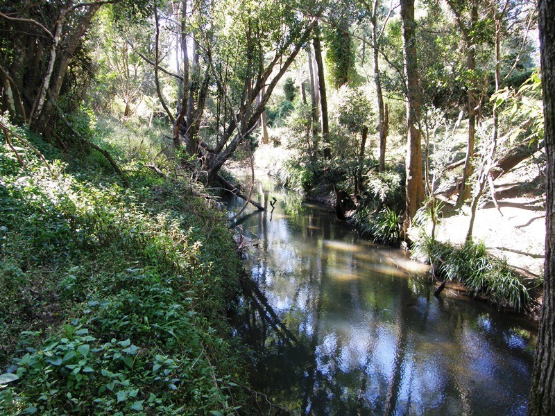 1270 Collins Creek Road, Kyogle NSW 2474
