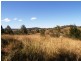1270 Collins Creek Road, Kyogle NSW 2474