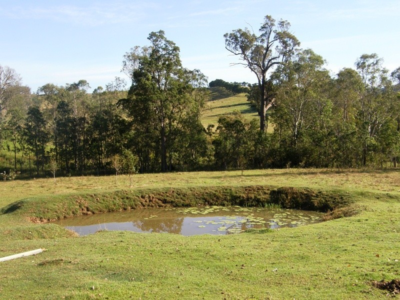 15 Riches Road, Ettrick, Kyogle NSW 2474