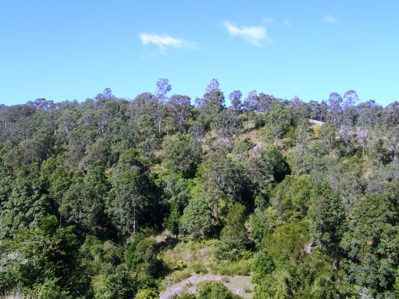 Lot 12 Boorabee Creek Road, Kyogle NSW 2474
