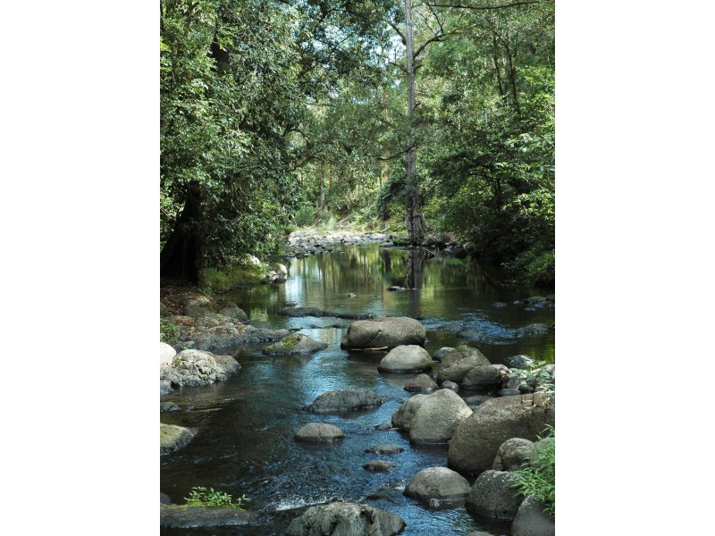 Lot 892 Turpentine Road, Warrazambil Creek, Kyogle NSW 2474