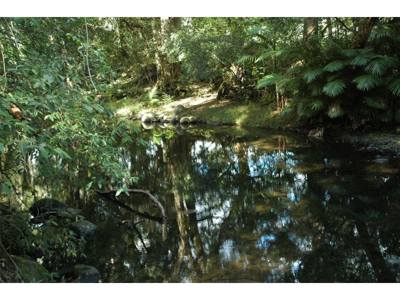 Lot 892 Turpentine Road, Warrazambil Creek, Kyogle NSW 2474