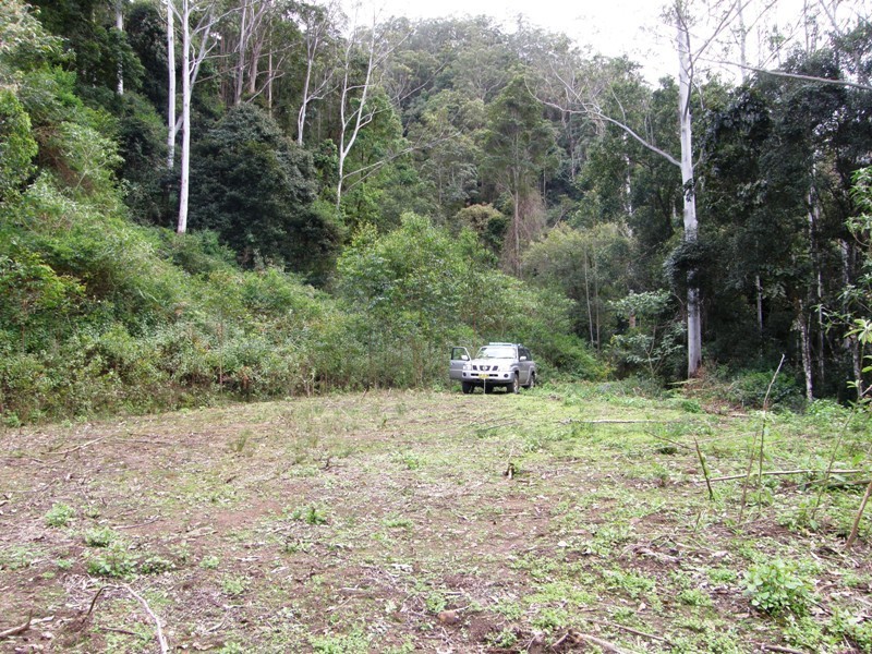 Lot 892 Turpentine Road, Warrazambil Creek, Kyogle NSW 2474