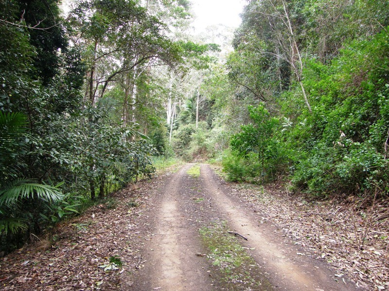 Lot 892 Turpentine Road, Warrazambil Creek, Kyogle NSW 2474