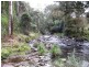 Lot 892 Turpentine Road, Warrazambil Creek, Kyogle NSW 2474