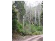 Lot 892 Turpentine Road, Warrazambil Creek, Kyogle NSW 2474