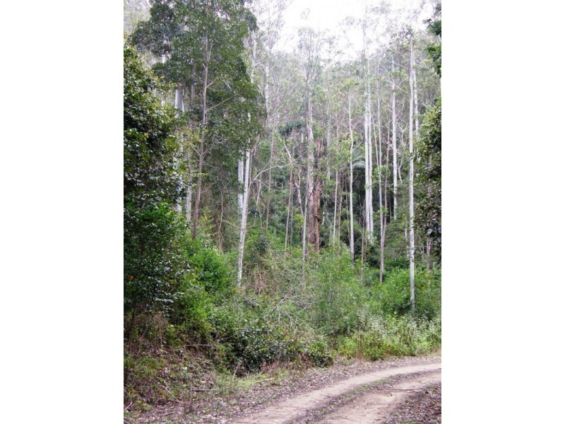 Lot 892 Turpentine Road, Warrazambil Creek, Kyogle NSW 2474