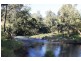 830 Grady’s Creek Road, Grady’s Creek, Kyogle NSW 2474