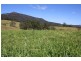 830 Grady’s Creek Road, Grady’s Creek, Kyogle NSW 2474