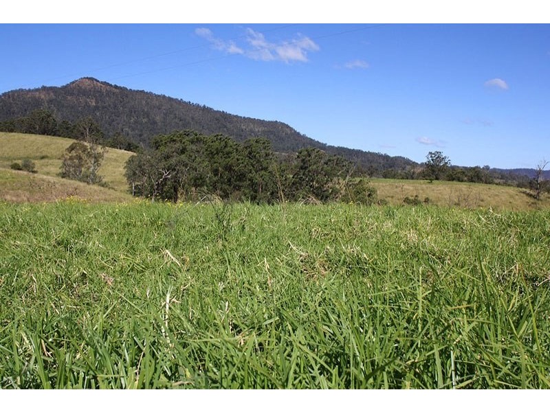 830 Grady’s Creek Road, Grady’s Creek, Kyogle NSW 2474