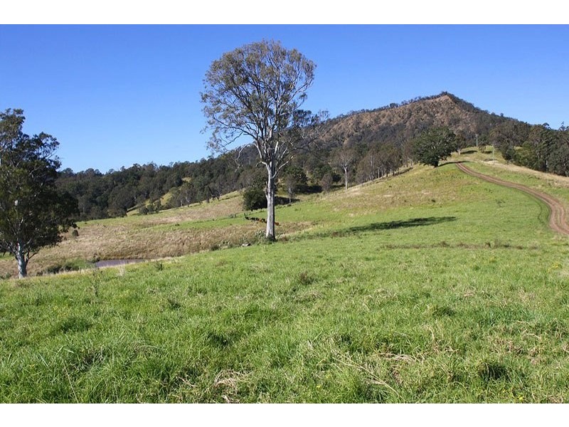 830 Grady’s Creek Road, Grady’s Creek, Kyogle NSW 2474