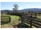 830 Grady’s Creek Road, Grady’s Creek, Kyogle NSW 2474