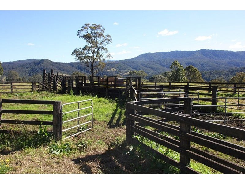 830 Grady’s Creek Road, Grady’s Creek, Kyogle NSW 2474