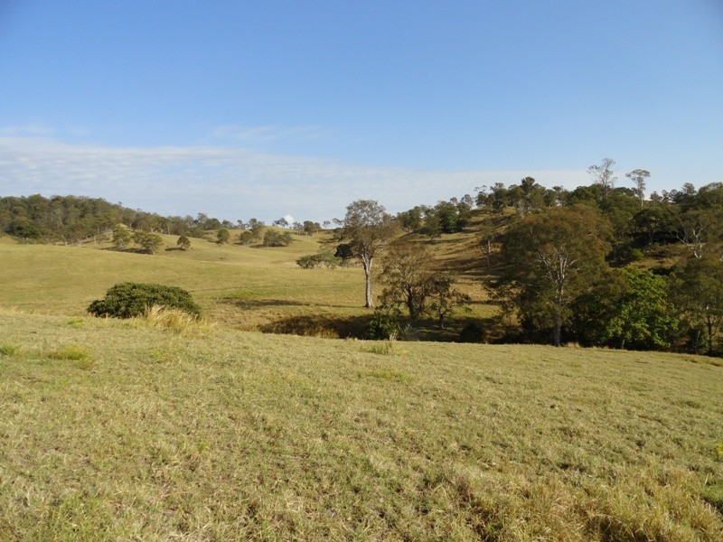 475 Afterlee Road, Kyogle NSW 2474