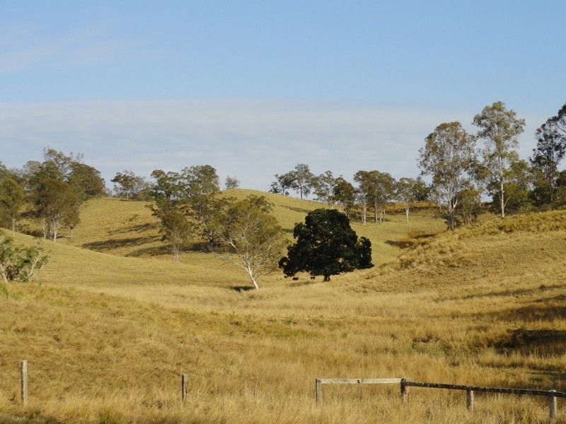 475 Afterlee Road, Kyogle NSW 2474