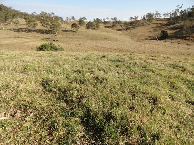 475 Afterlee Road, Kyogle NSW 2474