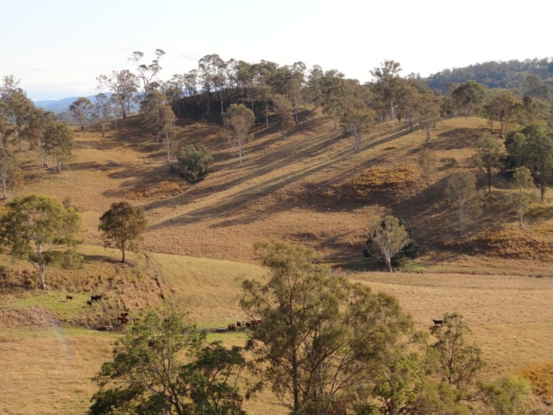 475 Afterlee Road, Kyogle NSW 2474