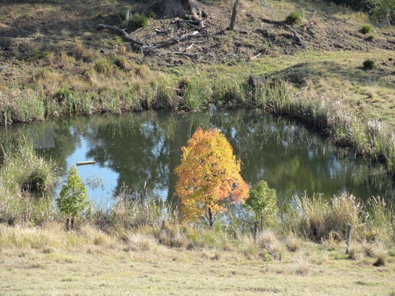 475 Afterlee Road, Kyogle NSW 2474