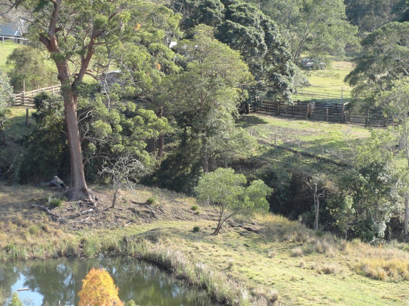 475 Afterlee Road, Kyogle NSW 2474