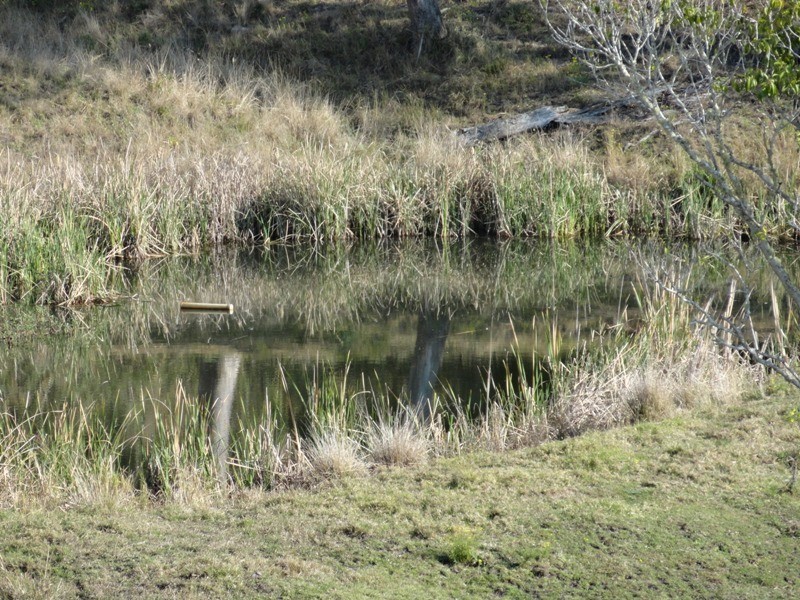 475 Afterlee Road, Kyogle NSW 2474