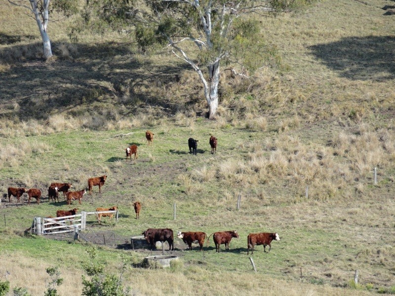 475 Afterlee Road, Kyogle NSW 2474