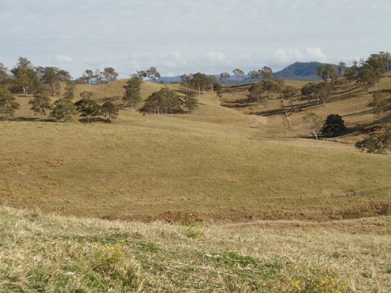 475 Afterlee Road, Kyogle NSW 2474