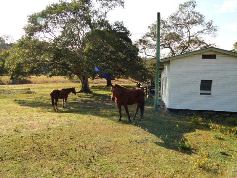 475 Afterlee Road, Kyogle NSW 2474