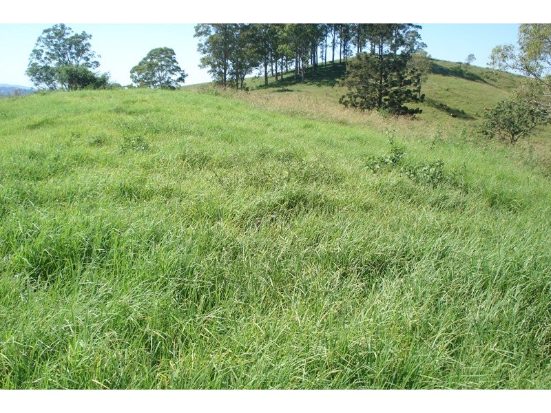 496 Iron Pot Creek Road, Kyogle NSW 2474