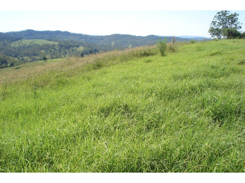 496 Iron Pot Creek Road, Kyogle NSW 2474