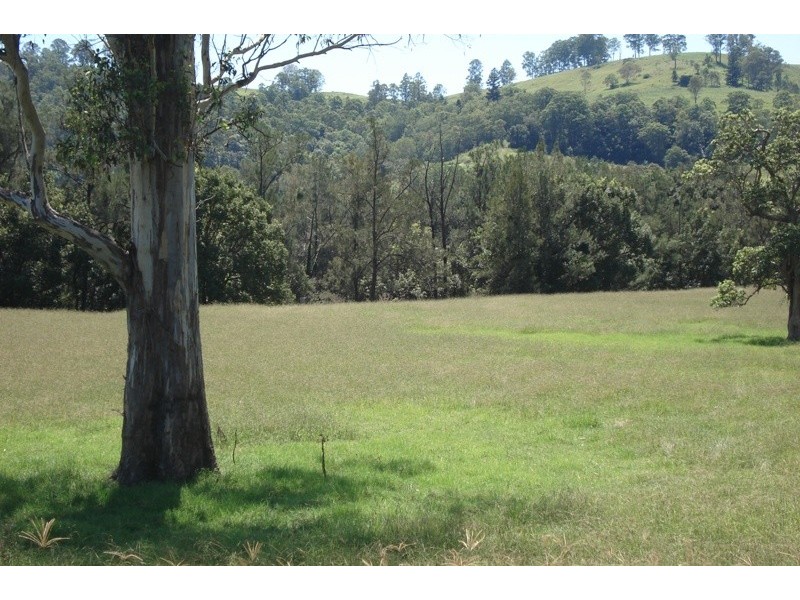 496 Iron Pot Creek Road, Kyogle NSW 2474