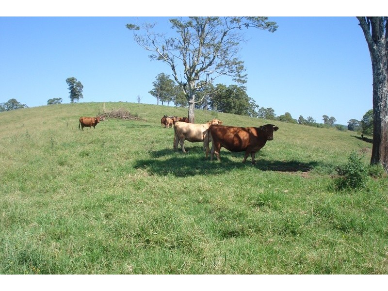 496 Iron Pot Creek Road, Kyogle NSW 2474