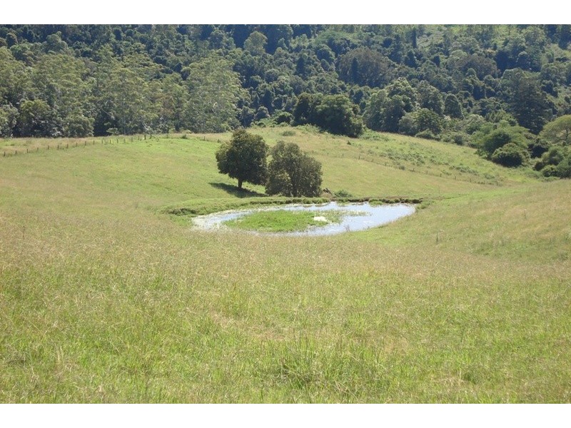 496 Iron Pot Creek Road, Kyogle NSW 2474